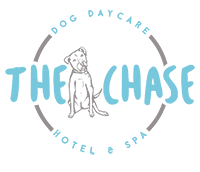 The Chase Dog Daycare, Hotel & Spa